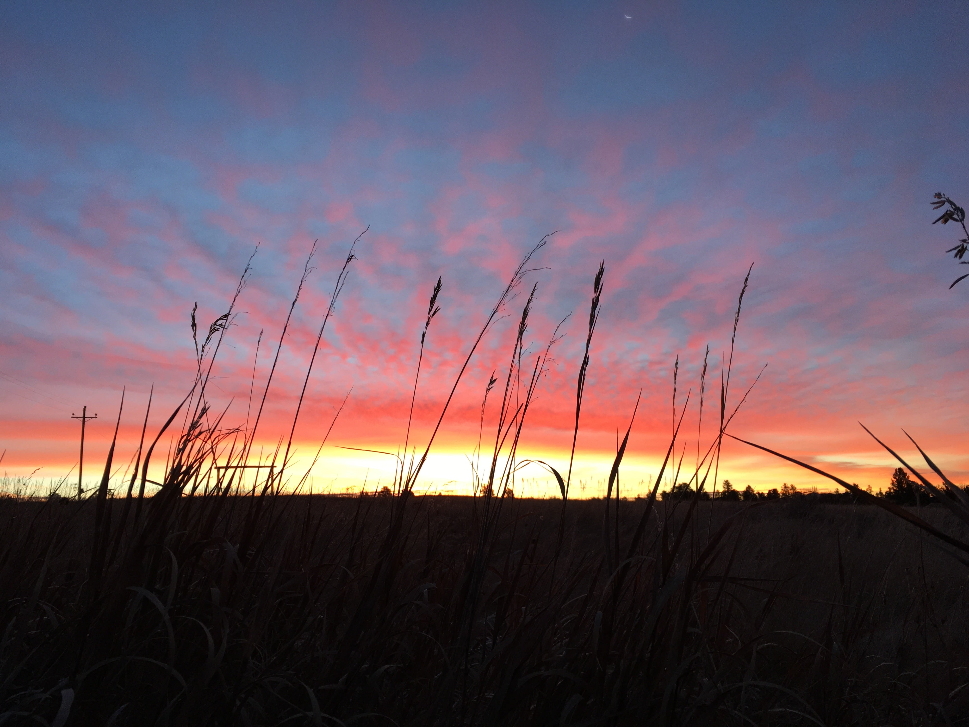 Home Powder River Energy Corporation Foundation